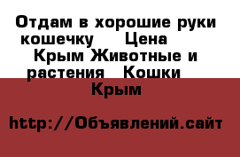 Отдам в хорошие руки кошечку.  › Цена ­ 10 - Крым Животные и растения » Кошки   . Крым